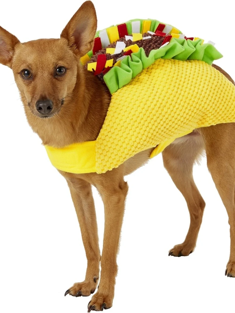 #345- 3 Small Dog Outfits